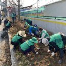 온양4동 온천대로 이미지