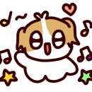 반값애견 이미지