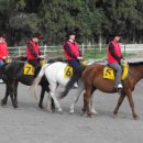 제주엔젤유치원 이미지