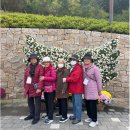 서울시립대학교종합사회복지관 | [어르신사회활동지원사업] 가을에 떠난 일자리 문화활동 나들이🍁