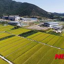 (주)들녘 이미지