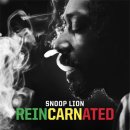 Snoop Lion Feat. Rita Ora - Torn Apart﻿ 이미지