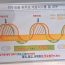 비비 피트니스 이미지