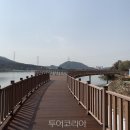 물왕