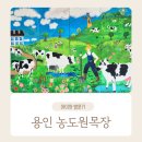 소나무목장 | 용인 농도원목장 예약 방법 및 목장 체험