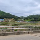 그린애캠핑장 이미지