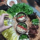 빽언니 과메기 티스토리