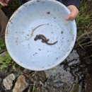 시골놀이터 이미지