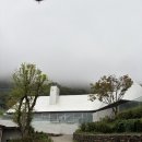 성림목장 | 양산 카페| 부산 근교 아이랑 같이 가기 좋은 대형 산속카페 성림목장 후기