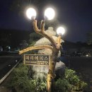 페리에피스김영모