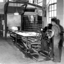 코크(Koch) 이미지