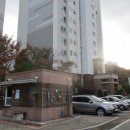 시청로1 이미지