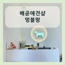 배곧애견샵 이미지