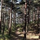 진우축산 이미지