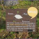 로하스 해피로드 이미지