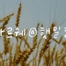 파란돌