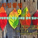슈니트 이미지