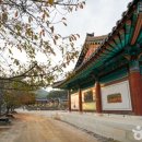 수림장 - 강릉시 강릉대로269번길 1-3 | 수림장