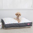 펫스토어 이미지