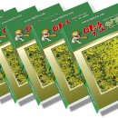 인포디자인(INFO) Daum카페