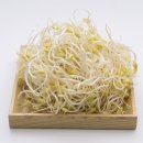 포그니병원 이미지