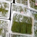 🍀4월 최고에 보약 👍 이미지