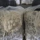 곰소농장 이미지