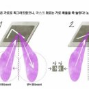 광원상회