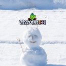 정자로 | 영암 겨울 여행지 추천 ☃️ 눈이 오면 더욱 아름다운 영암의 설경