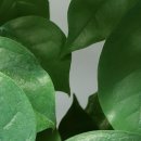 편한연세내과의원 이미지