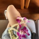 오아시스 카 서비스 | 푸켓 숙소 추천 | 반얀트리 풀빌라 리조트 / 오아시스 스파