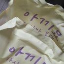 묘봉지 | 고양이 카사바 모래 추천 - 아끼묘 내돈내산 찐 후기