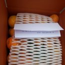 이혁농장 이미지