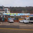 연안애견 이미지