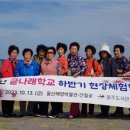 초등학력인정 문해교육 프로그램 글나래학교 이미지