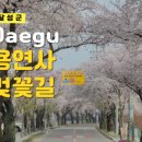 용연사주차장 이미지