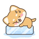 동산의료기 이미지