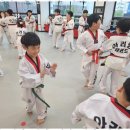 아리랑태권도 이미지