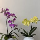 홍천초등학교(너브내) 이미지