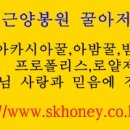 에스케이리