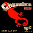 카멜레온 이미지