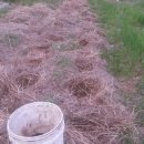 풍각초등학교 이미지