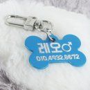 강아지와 나 이미지