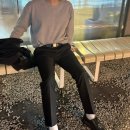 가파치 | [정장벨트 추천] 가파치스포츠벨트 후기