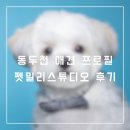 펫밀리 | [리뷰] 동두천 애견 프로필 펫밀리스튜디오 후기