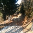 돌마교 아래 이미지