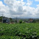 서산토지사랑공인중개사사무소 이미지