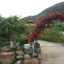 제이ㆍ케이 이미지