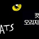 (공연) 캣츠 오리지널 내한공연3 이미지