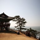 서천서해안횟집 이미지